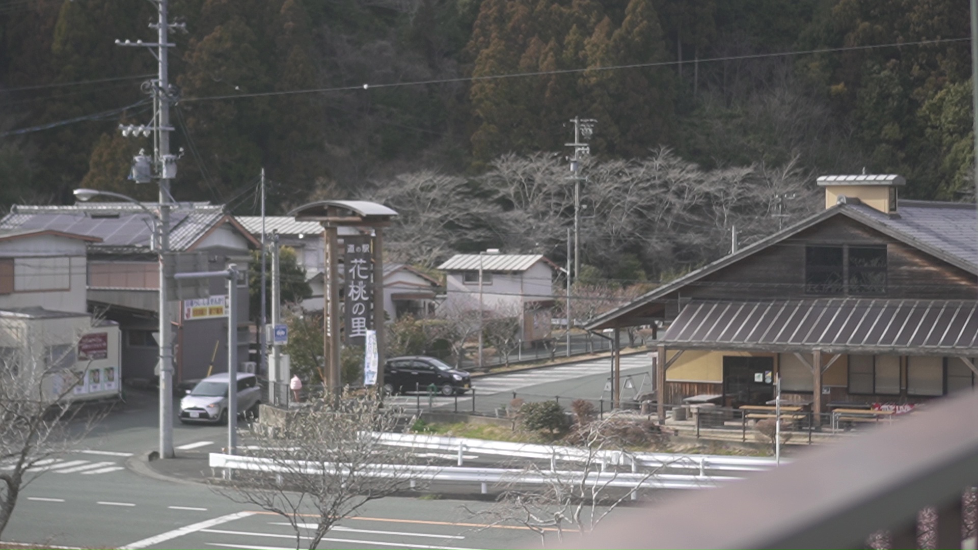 道の駅天竜相津花桃の里