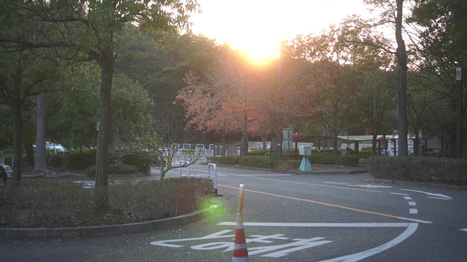 兵庫県立三木山森林公園